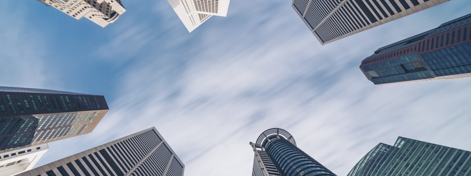 იხილეთ ჩვენი პროდუქცია