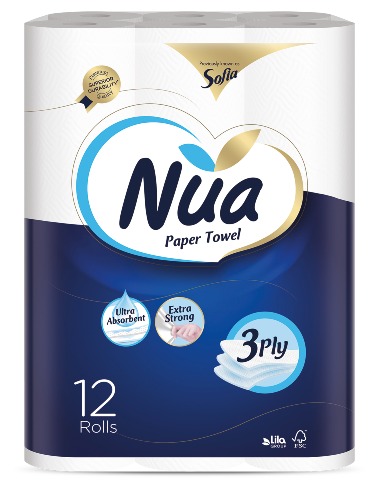 Paper Towel 12 Rolls